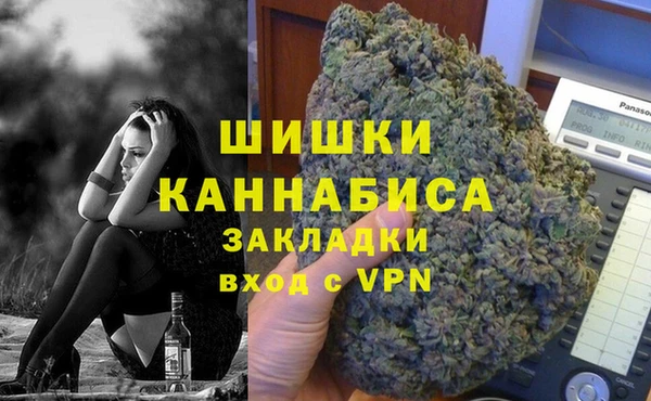 прущие грибы Баксан