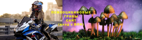 прущие грибы Баксан