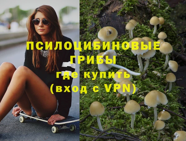 прущие крисы Балахна