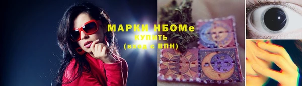 прущие грибы Баксан