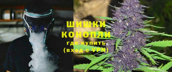 прущие грибы Баксан