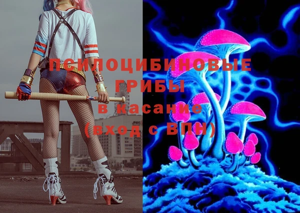 прущие грибы Баксан