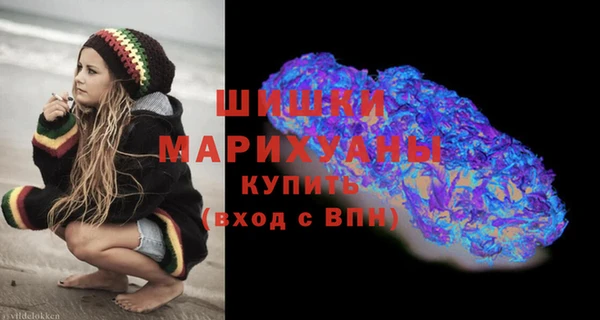 прущие грибы Баксан